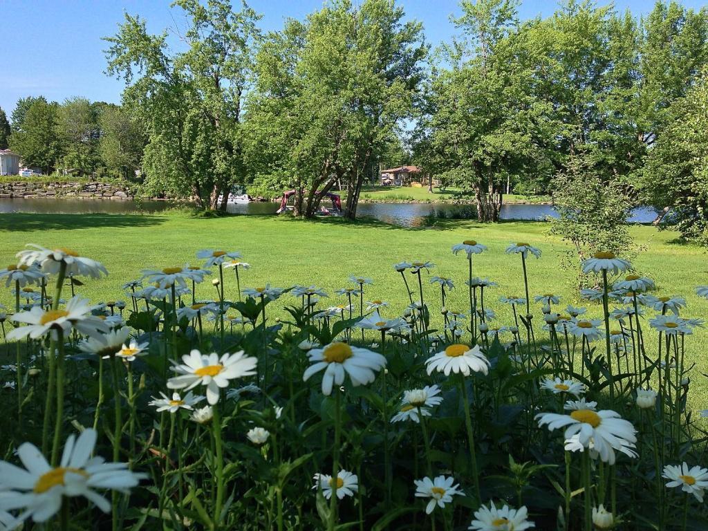 Le Reflet De La Riviere B&B Weedon-Centre 외부 사진